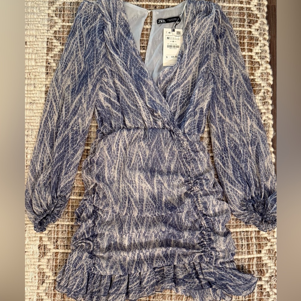 Zara Drapey Mini Dress